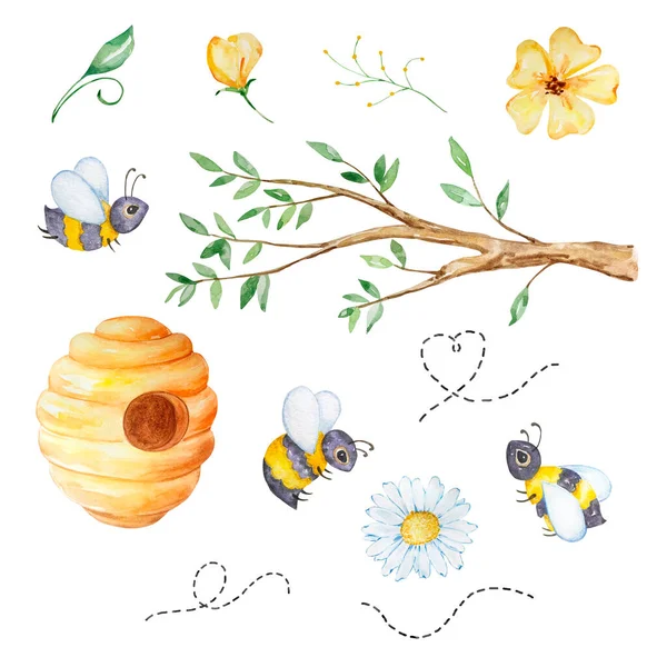 Ảnh câu 22