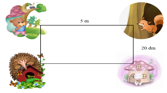Ảnh câu 20