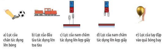 Ảnh câu 9