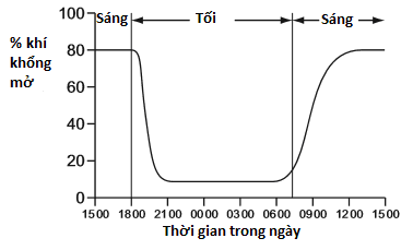 Hình minh họa câu 99
