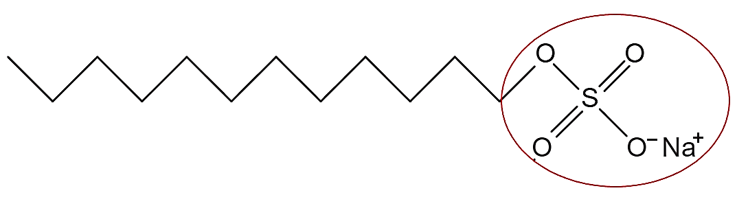 Ảnh câu 11