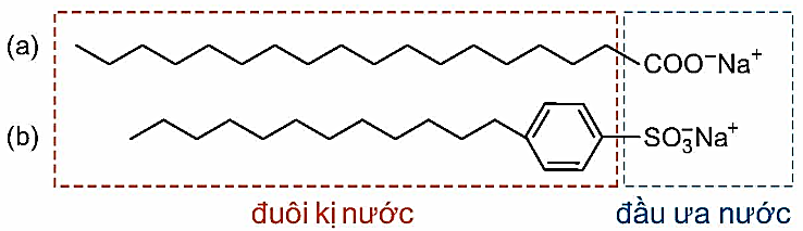 Ảnh câu 51