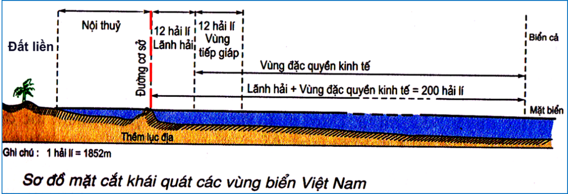 Ảnh câu 83