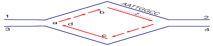 Ảnh câu 85