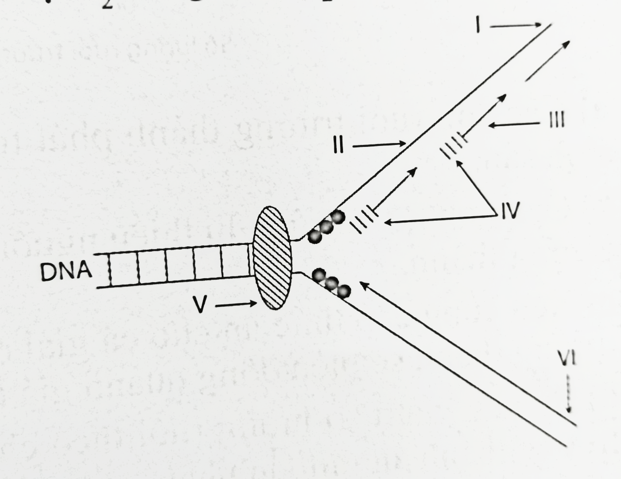 Ảnh câu 129