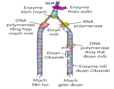 Ảnh câu 107