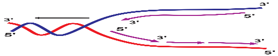 Ảnh câu 87