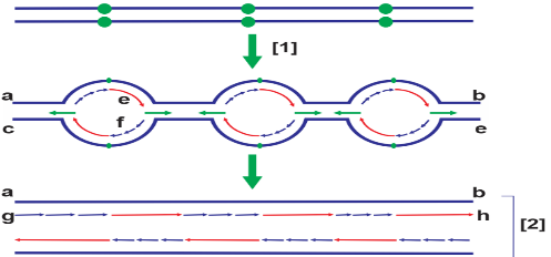Ảnh câu 136