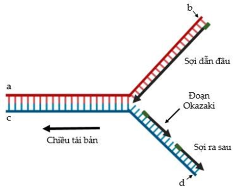 Ảnh câu 111