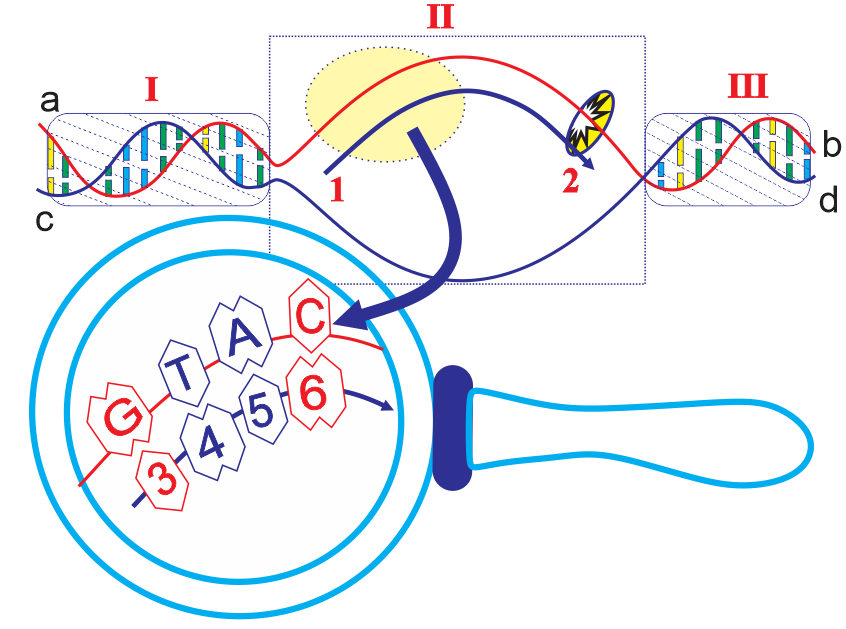 Ảnh câu 116
