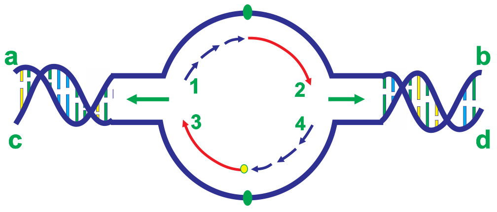 Ảnh câu 115