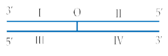Ảnh câu 9