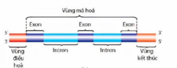 Ảnh câu 27