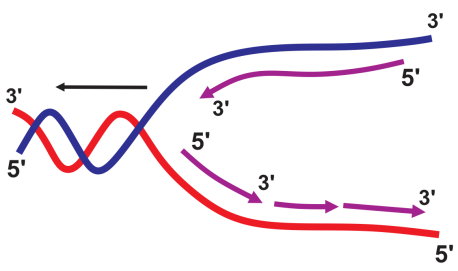 Ảnh câu 14