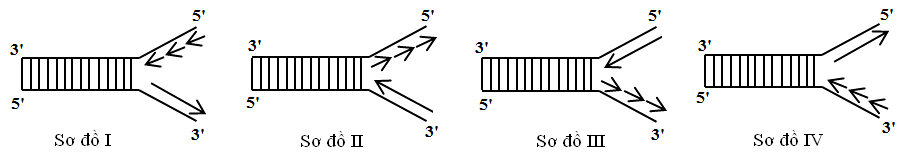 Ảnh câu 7