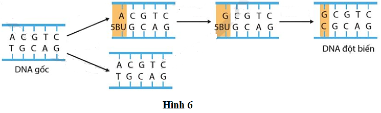 Ảnh câu 69