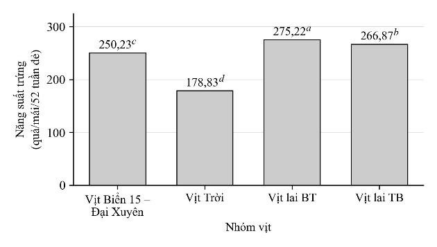 Ảnh câu 30